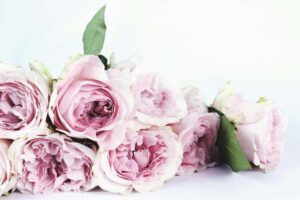 Levering af blomster i København